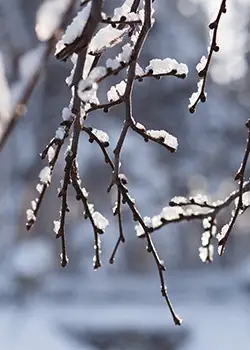 Hiver