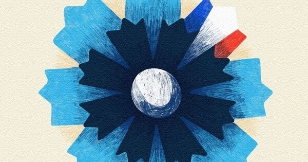 bleuet